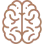 brain-1.png