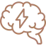brain-2.png