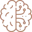 brain-4.png